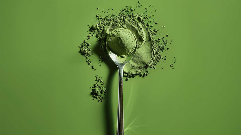 Our Bodyism Shop